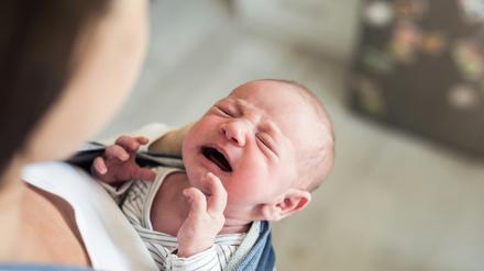Menschliche Säuglinge schreien, Affenbabys nicht – warum eigentlich? 