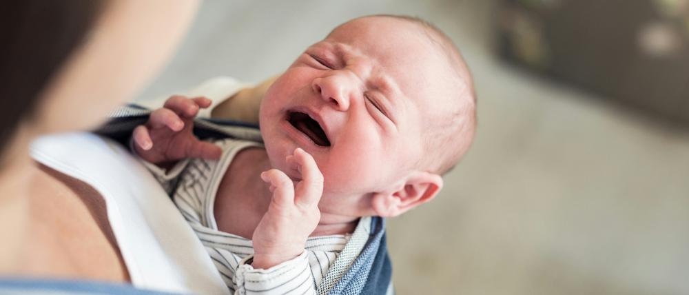Menschliche Säuglinge schreien, Affenbabys nicht – warum eigentlich?