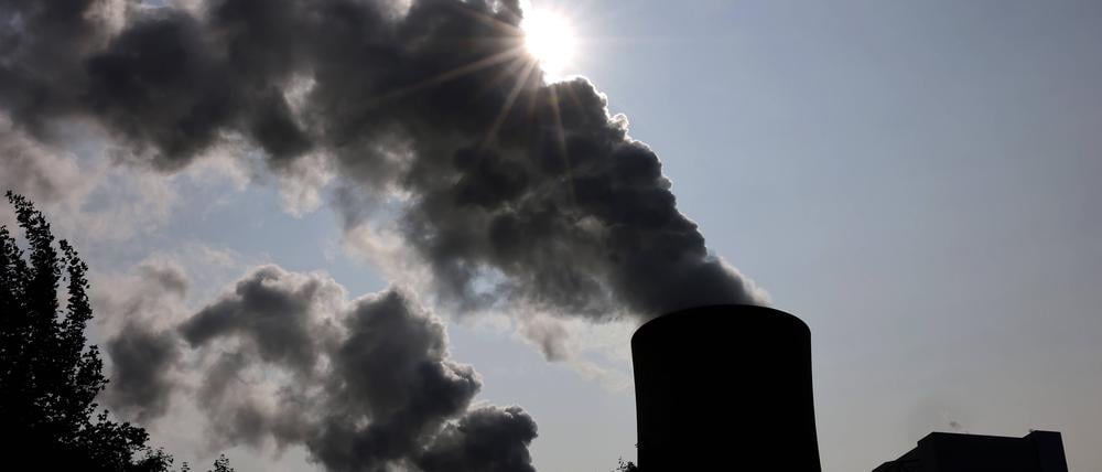 Viel Rauch kommt aus dem RWE-Kohlekraftwerk Neurath in Nordrhein-Westfalen.