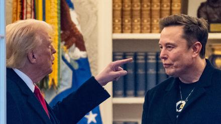 US-Präsident Donald Trump und Elon Musk sprechen im Oval Office (Symbolbild).