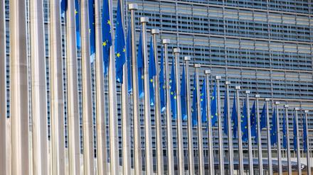 Die EU-Kommission wehrt sich gegen die Vorwürfe, die in Teilen bereits lange bekannt sind. (Archivbild)