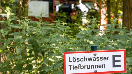 In einigen Tagen steigt die Waldbrandgefahr in Brandenburg wieder. (Symbolbild)