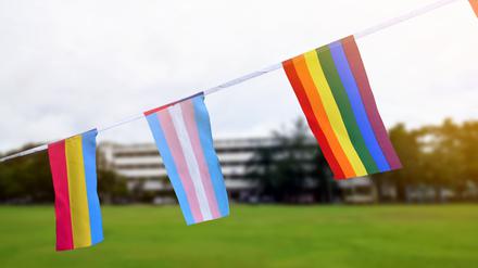 Die Regenbogenfahne und die Transflagge.
