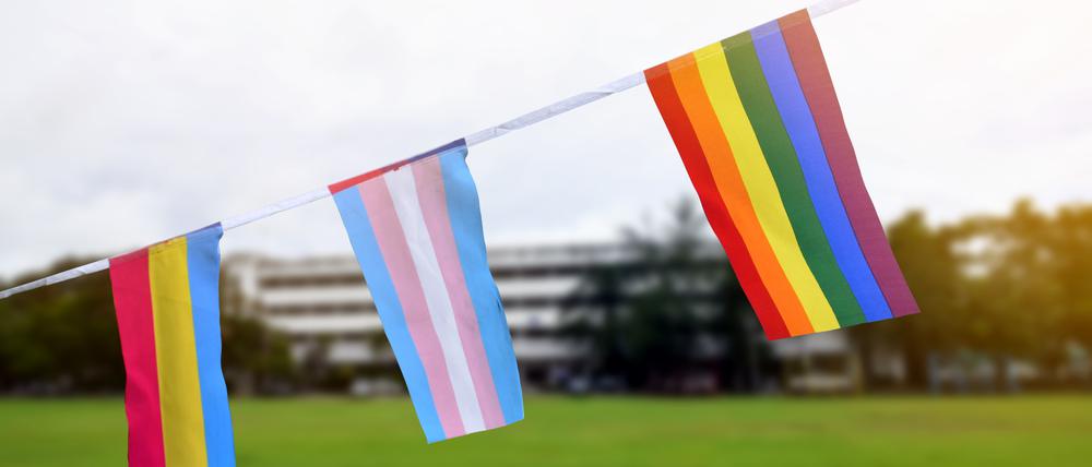 Die Regenbogenfahne und die Transflagge.