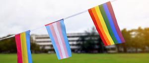 Die Regenbogenfahne und die Transflagge.