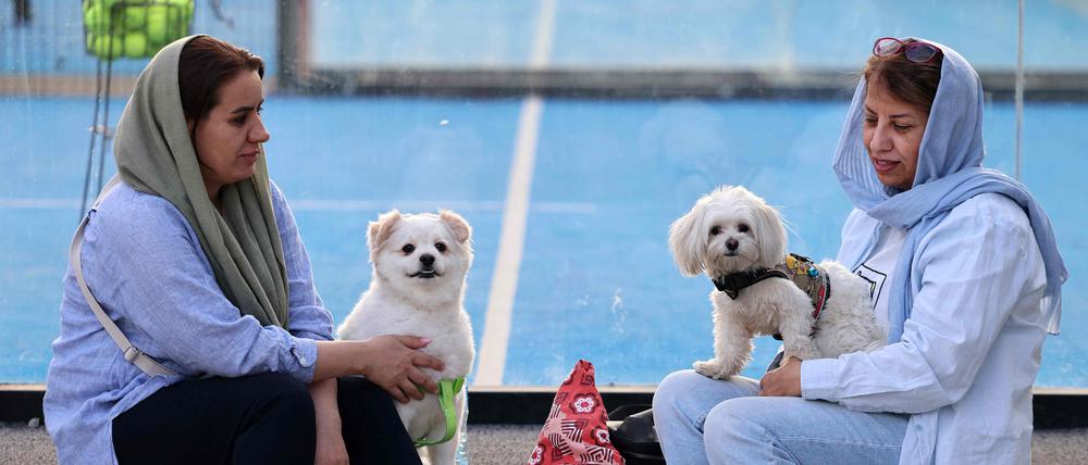 Gassigehen verboten: Zwei Iranerinnen am vergangenen Wochenende mit ihren Hunden in Teheran. 