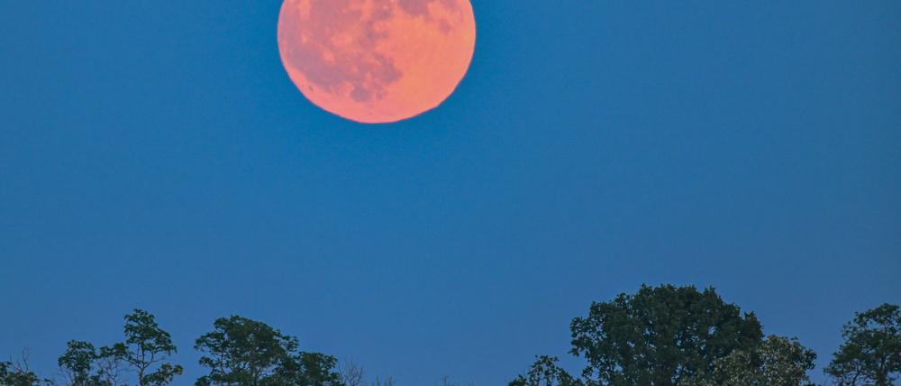 Blassroter Mond am Abendhimmel. (Archivbild)