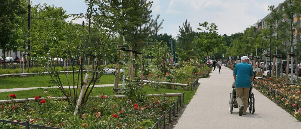Gartenstadt Drewitz (klaer)