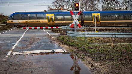 Die Heidekrautbahn am Bahnhof Schönfließ.