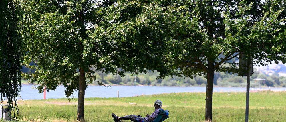 Ein Mann hat sich ein schattiges Plätzchen am Ufer des Rheins in Leverkusen gesucht. (Archivbild)