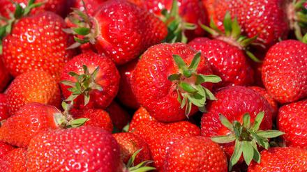 Nachts pflücken Diebe auf einer Plantage Erdbeeren - doch dann kommt die Polizei. (Symbolbild) 
