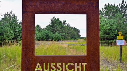 In der Lieberose Heide schützt die Stiftung Naturlandschaften Brandenburg die Natur auf einem ehemaligen Truppenübungsplatz. Die Stiftung, die noch drei andere Flächen besitzt, feiert 25-jähriges Jubiläum.