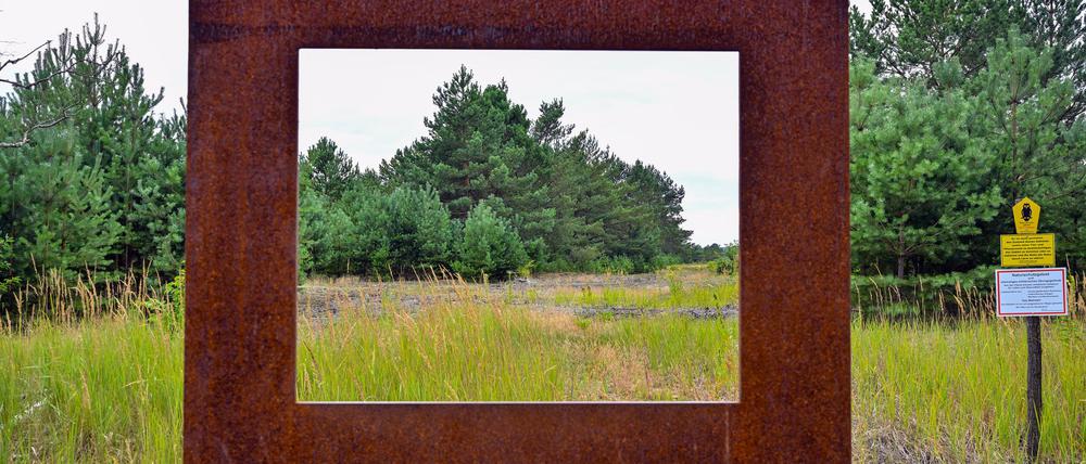 In der Lieberose Heide schützt die Stiftung Naturlandschaften Brandenburg die Natur auf einem ehemaligen Truppenübungsplatz. Die Stiftung, die noch drei andere Flächen besitzt, feiert 25-jähriges Jubiläum.