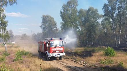 In fünf Kreisen gilt die Waldbrand-Gefahrenstufe 4, in einem die höchste Stufe 5. (Symbolbild)