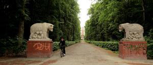 Im Volkspark Jungfernheide kam es am Samstagmorgen zu einem Verbrechen.