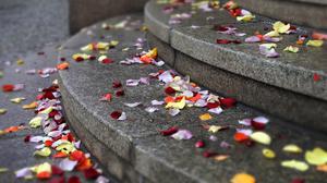 Hochzeit, Heiraten, Trauung, Standesamt Potsdam. Symbolbild.