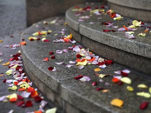 Hochzeit, Heiraten, Trauung, Standesamt Potsdam. Symbolbild.