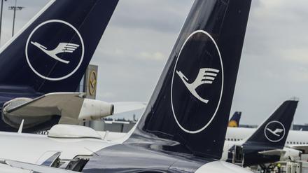 Lufthansa-Maschinen stehen auf dem Vorfeld des Flughafens Rhein-Main (Symbolbild).