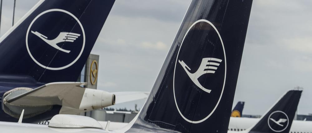 Lufthansa-Maschinen stehen auf dem Vorfeld des Flughafens Rhein-Main (Symbolbild).