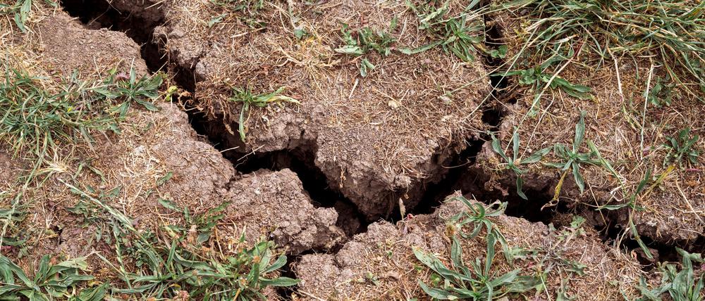 In vielen Brandenburger Landkreisen wird mehr Wasser entnommen als neu gebildet wird. (Symbolbild)