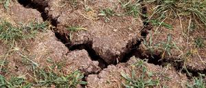 In vielen Brandenburger Landkreisen wird mehr Wasser entnommen als neu gebildet wird. (Symbolbild)