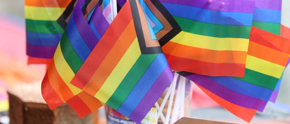 Die Regenbogenflagge ist politisch aufgeladen wie lange nicht.