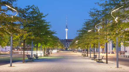 Straßenbäume in Berlin mit Blick auf den Fernsehturm.