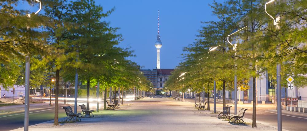 Straßenbäume in Berlin mit Blick auf den Fernsehturm.