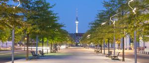 Straßenbäume in Berlin mit Blick auf den Fernsehturm.