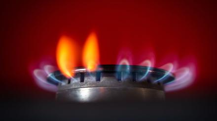 Zuvor gemachten Angaben der EU-Kommission zufolge basieren etwa zwei Drittel der russischen LNG- und Pipeline-Gasimporte auf bestehenden langfristigen Verträgen. Der Rest wird auf kurzfristiger Spot-Basis geliefert.