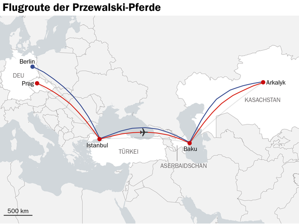 Flugroute der Przewalski-Pferde