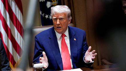 US-Präsident Donald Trump nimmt an einer Kabinettssitzung im Weißen Haus teil (Symbolbild).
