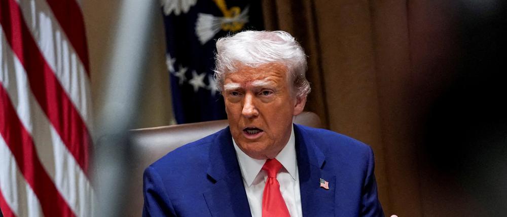 US-Präsident Donald Trump nimmt an einer Kabinettssitzung im Weißen Haus teil (Symbolbild).