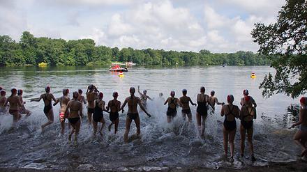 Das traditionelle Schwimmen rund um die Insel Scharfenberg ist eines der größten Sportevents für Schüler in Berlin.