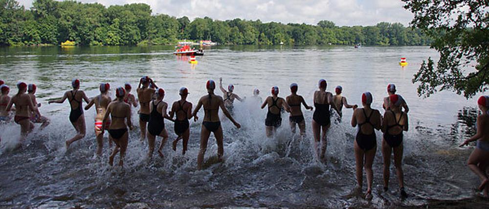Das traditionelle Schwimmen rund um die Insel Scharfenberg ist eines der größten Sportevents für Schüler in Berlin.