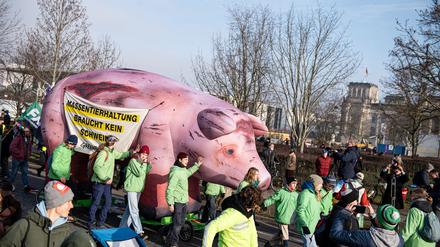 Das Bündnis „Wir haben es satt“ demonstriert seit Jahren bei der Agrarmesse Grüne Woche für eine Agrarwende. Jetzt machen sie eine Aktion zum Austausch zwischen Umweltaktivisten und Landwirten. (Archivbild)