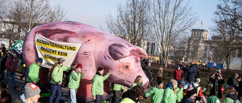 Das Bündnis „Wir haben es satt“ demonstriert seit Jahren bei der Agrarmesse Grüne Woche für eine Agrarwende. Jetzt machen sie eine Aktion zum Austausch zwischen Umweltaktivisten und Landwirten. (Archivbild)
