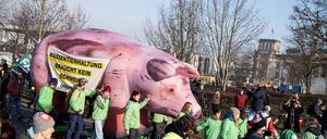 Das Bündnis „Wir haben es satt“ demonstriert seit Jahren bei der Agrarmesse Grüne Woche für eine Agrarwende. Jetzt machen sie eine Aktion zum Austausch zwischen Umweltaktivisten und Landwirten. (Archivbild)