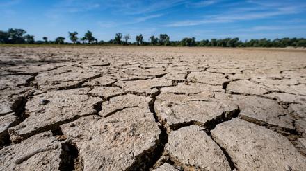 Eine neue Studie besagt, dass auf der Grundlage des derzeitigen CO2-Ausstoßes nur noch drei Jahre bis zur Überschreitung des 1,5 Grad-Ziels bleiben (Archivbild).