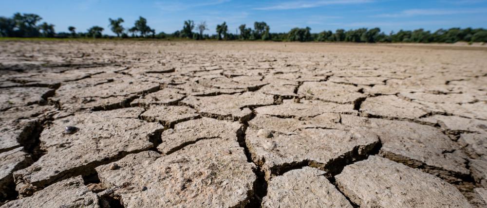 Eine neue Studie besagt, dass auf der Grundlage des derzeitigen CO2-Ausstoßes nur noch drei Jahre bis zur Überschreitung des 1,5 Grad-Ziels bleiben (Archivbild).