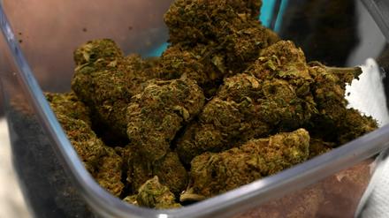 Cannabis-Blüten liegen in einer Box. (Symbolbild)