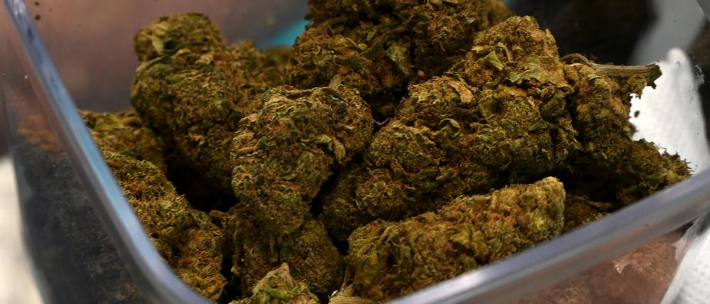 Cannabis-Blüten liegen in einer Box. (Symbolbild)