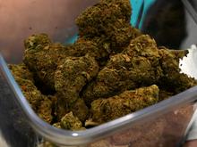 Spezialeinsatz in Berlin: Eine Tonne Marihuana in Kokosnüssen geschmuggelt – fünf Männer festgenommen