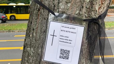 Dieser Baum in der Lindenthaler Allee soll für die Verlängerung der U3 bis Mexikoplatz gefällt werden. Unter der Lindenthaler Allee entsteht eine unterirdische Aufstellanlage.