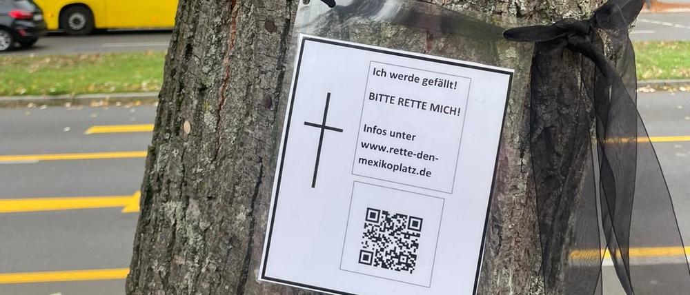 Dieser Baum in der Lindenthaler Allee soll für die Verlängerung der U3 bis Mexikoplatz gefällt werden. Unter der Lindenthaler Allee entsteht eine unterirdische Aufstellanlage.