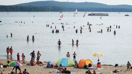 Strandbad am Müggelsee: Die Berliner Badegewässer punkten mit ausgezeichneter Wasserqualität. (Symbolbild)