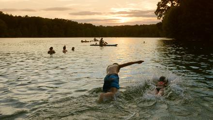 Leute nutzen einen schönen Sommerabend am Schlachtensee zum Baden.