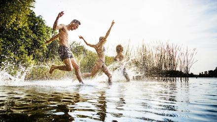 Eine Gruppe von Freunden springt in den See.