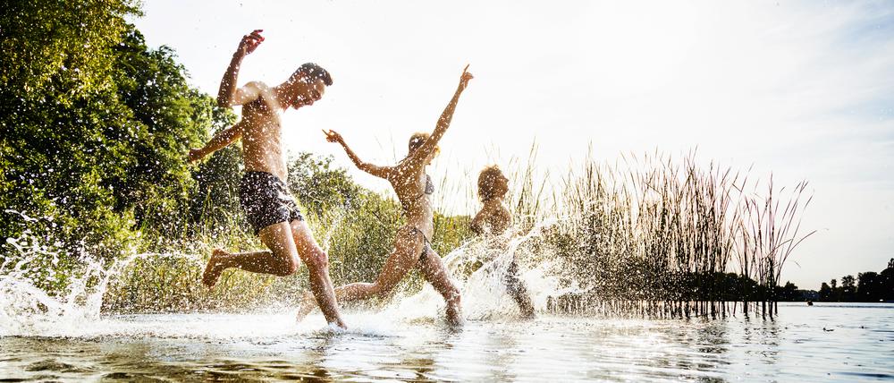 Eine Gruppe von Freunden springt in den See.