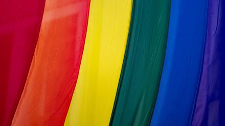 Etwa 1.000 Menschen werden zur Pride Parade in Marzahn erwartet. (Archivbild)